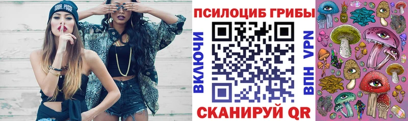 Галлюциногенные грибы прущие грибы  kraken зеркало  Венёв 